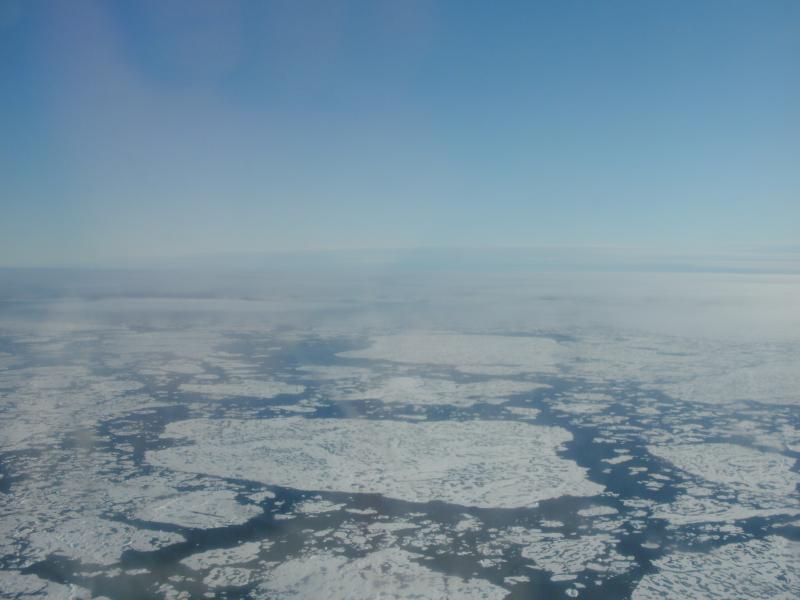 Image of the sea surface covered in small icebergs